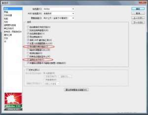 ʹPS CS5øԤ輼