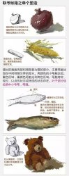 单个色彩静物物体 美术生怎样刻画才更好看呢?