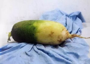 ɫгܻ?
