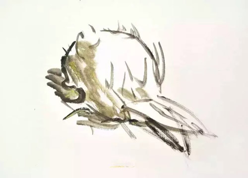 ɫʾˮ22.jpg