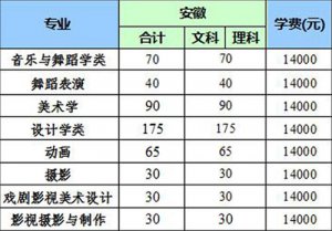 ����ʦ����ѧ�ѧԺ2018�갲��ʡ�����౾�������ƻ�